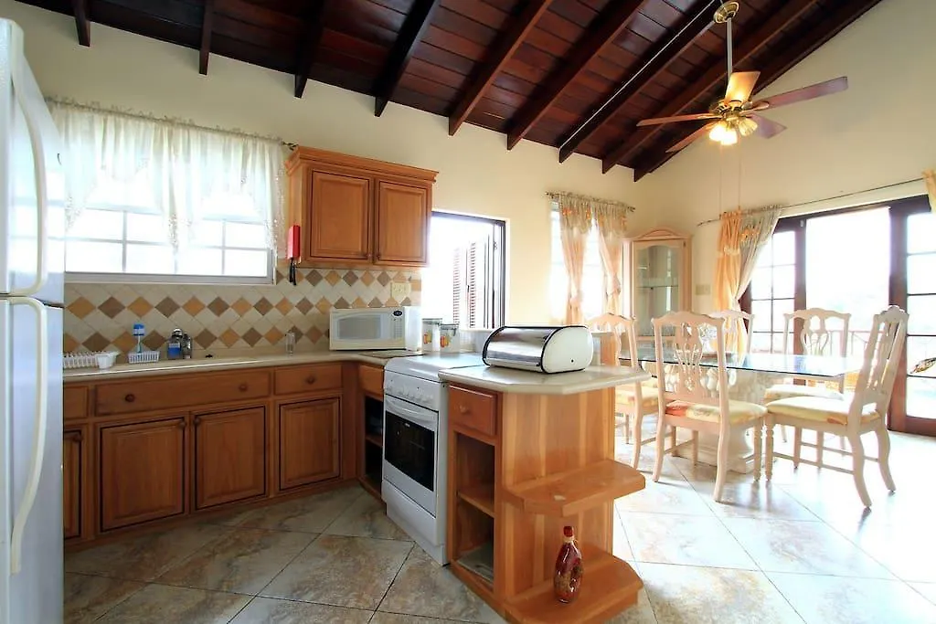 Villa Sungold House Barbados Saint Peter
